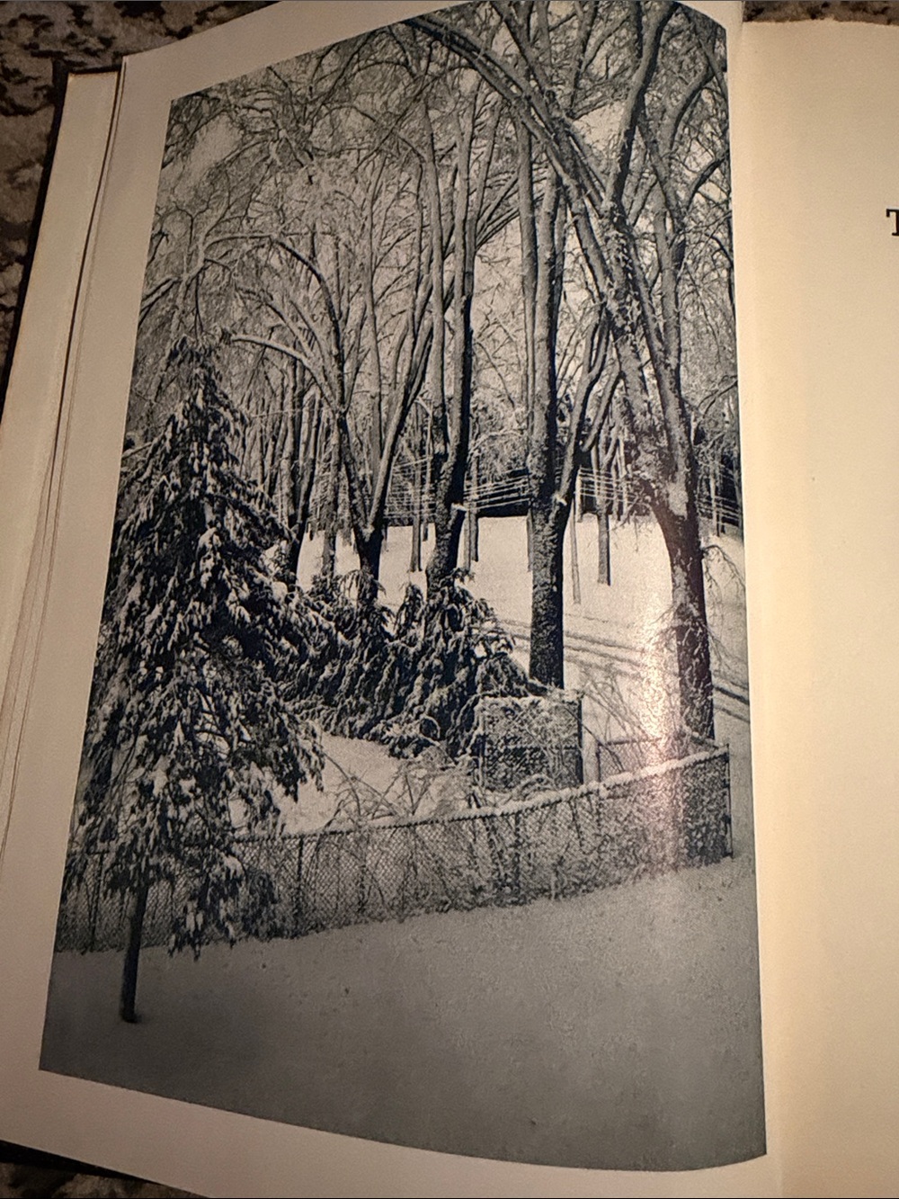 Signed 7th Printing (#918) of "The Maine Land" by Marion Bradshaw,
July, 1945 - Picture 6 of 16